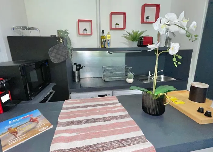 Studio Cocooning Hauteur De Saint-Raphael
